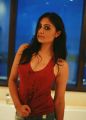 Actress Bhanu Sri Mehra New Hot Photoshoot Pics