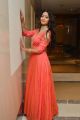 Model Bhanu Tripathi Pics in Pink Dress