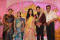 Saranya Ponvannan @ Bharath Jeshly Wedding Reception Photos