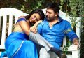 Amala Paul, Aravind Swamy in Bhaskar Oka Rascal Movie Stills HD