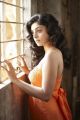Tamil Actress Bhavana Rao Hot Photoshoot Stills