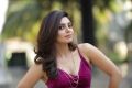 Actress Bhavana Rao New Photoshoot Stills