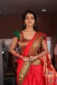 Actress Bhavya Sri Pattu Saree Photos at Silk India Expo 2018 Launch