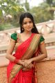 Telugu Actress Bhavya Sri in Pattu Saree Photos