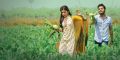 Rashmika Mandanna, Nithin in Bheeshma Movie Images HD