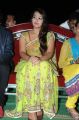 Actress Ester Noronha @ Bhimavaram Bullodu Movie Audio Launch Stills