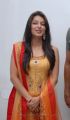 Bhumika Chawla Gorgeous Photos at April Fool Audio Launch