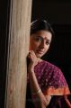 Pen Adimai Illai Movie Heroine Bhumika Chawla Cute Saree Stills