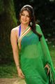 Actress Bhumika Hot Green Saree Photos in April Fool Movie