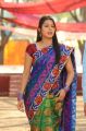 Actress Bhumika Chawla Saree Photos in April Fool Movie