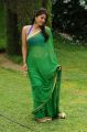 Bhumika Chawla Hot Green Saree Photos in April Fool Movie