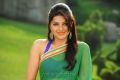 Bhumika Chawla Hot Saree Photos in April Fool Movie