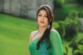 Actress Bhumika Hot Saree Photos in April Fool Movie
