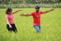 Divya Nagesh, Vignesh in Bhuvana Kaadu Tamil Movie Stills