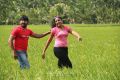 Vignesh, Divya Nagesh in Bhuvanakkadu Tamil Movie Stills