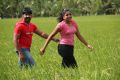 Vignesh, Divya Nagesh in Bhuvanakkadu Movie Stills