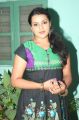 Actress Divya Nagesh at Bhuvanakkadu Movie Audio Launch Photos