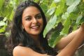 Bollywood Actress Bidita Bag Wallpapers