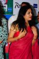 Singer Sunitha Upadrashta @ Big FM Big Green Ganesha 2013 Launch Photos