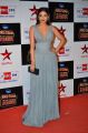 Surveen Chawla @ BIG STAR Entertainment Awards 2014 Red Carpet Stills