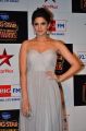 Deeksha Seth @ BIG STAR Entertainment Awards 2014 Red Carpet Stills