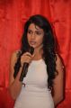 Lavanya Tripathi at BIG Telugu Entertainment Awards 2013 Curtain Raiser Photos