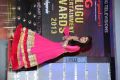 Big Telugu Entertainment Awards 2013