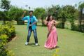 Sampath, Bhavana in Bikku Rathod Telugu Movie Stills