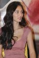 Bruna Abdullah at Billa 2 Movie Press Meet Stills