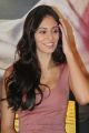 Bruna Abdullah at Billa 2 Movie Press Meet Stills