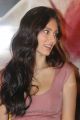 Bruna Abdullah at Billa 2 Movie Press Meet Stills