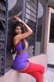 Telugu Actress Bindhu Photoshoot Stills