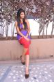 Telugu Actress Bindhu Hot Photoshoot Stills