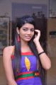 Telugu Actress Bindhu Photoshoot Stills