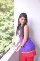 Telugu Actress Bindhu Photoshoot Stills