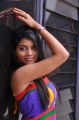 Telugu Actress Bindhu Hot Photoshoot Stills