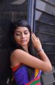 Telugu Actress Bindhu Photoshoot Stills