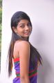 Telugu Actress Bindhu Hot Photoshoot Stills