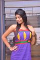 Telugu Actress Bindhu Hot Photoshoot Stills