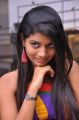 Actress Bindhu Photoshoot Stills @ Celebrity Audio Release