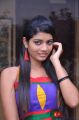 Telugu Actress Bindhu Photoshoot Pics