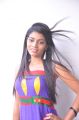 Telugu Actress Bindhu Photoshoot Stills