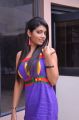 Telugu Actress Bindhu Photoshoot Stills