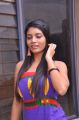 Telugu Actress Bindhu Photo Shoot Stills