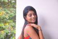 Telugu Actress Bindhu Photoshoot Stills