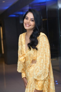 Actress Bindu Madhavi New Pics @ Anger Tales Web Series Pre Release Event