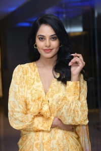 Actress Bindu Madhavi New Pics @ Anger Tales Web Series Pre Release Event