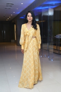 Actress Bindu Madhavi New Pics @ Anger Tales Web Series Pre Release Event