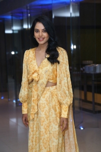 Actress Bindu Madhavi Pics @ Anger Tales Web Series Pre Release Event