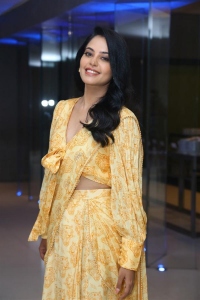 Actress Bindu Madhavi Pics @ Anger Tales Web Series Pre Release Event